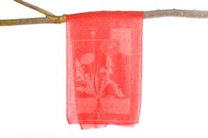 Coton and linen scarf Dendelion / I’m not a noxious weed - Red